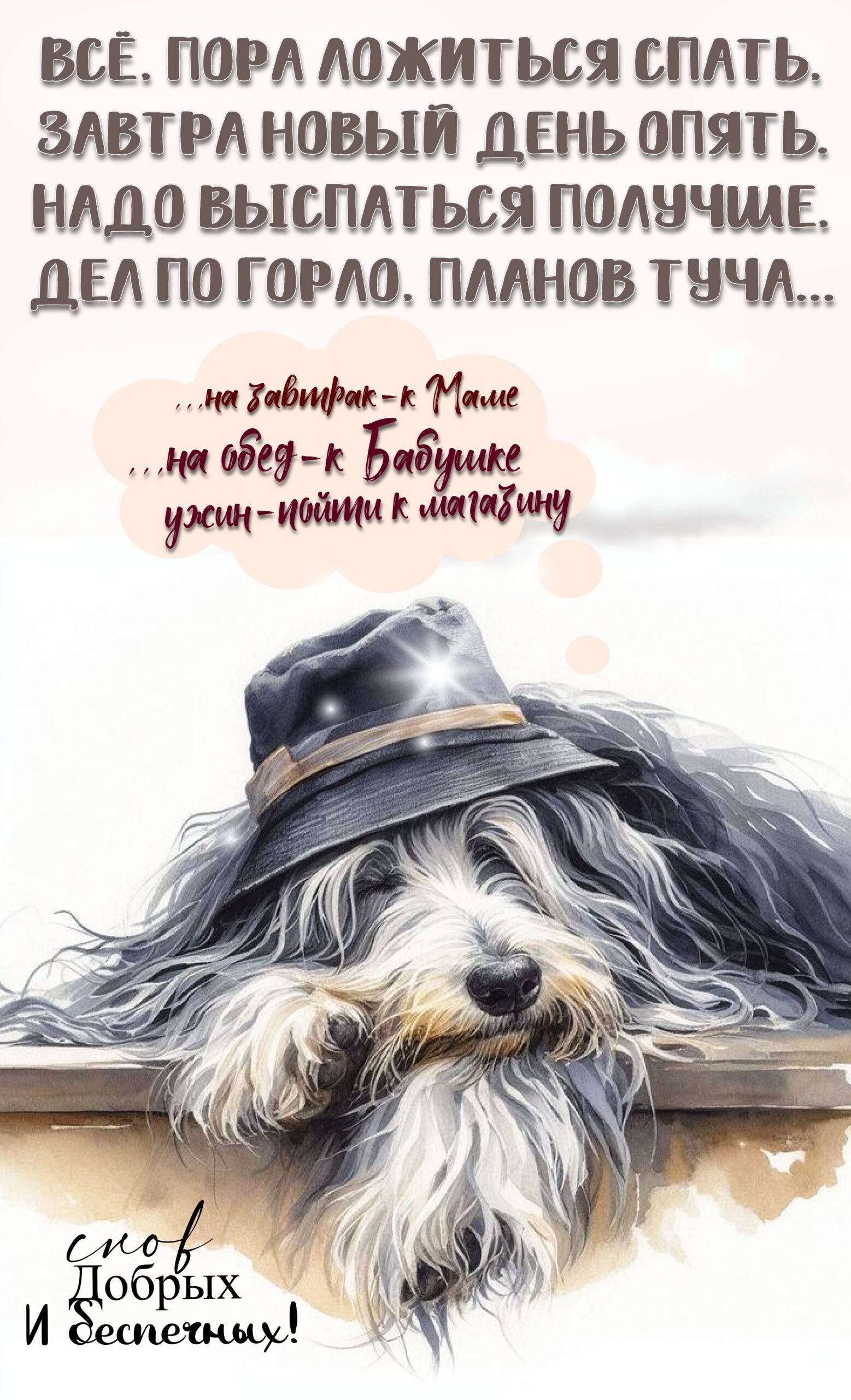 Снов Добрых🤗