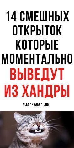 Забавные открытки для отличного насторения