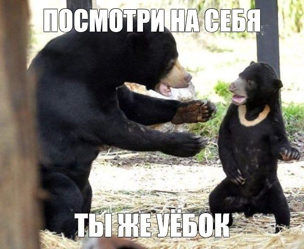 Ты же уеб