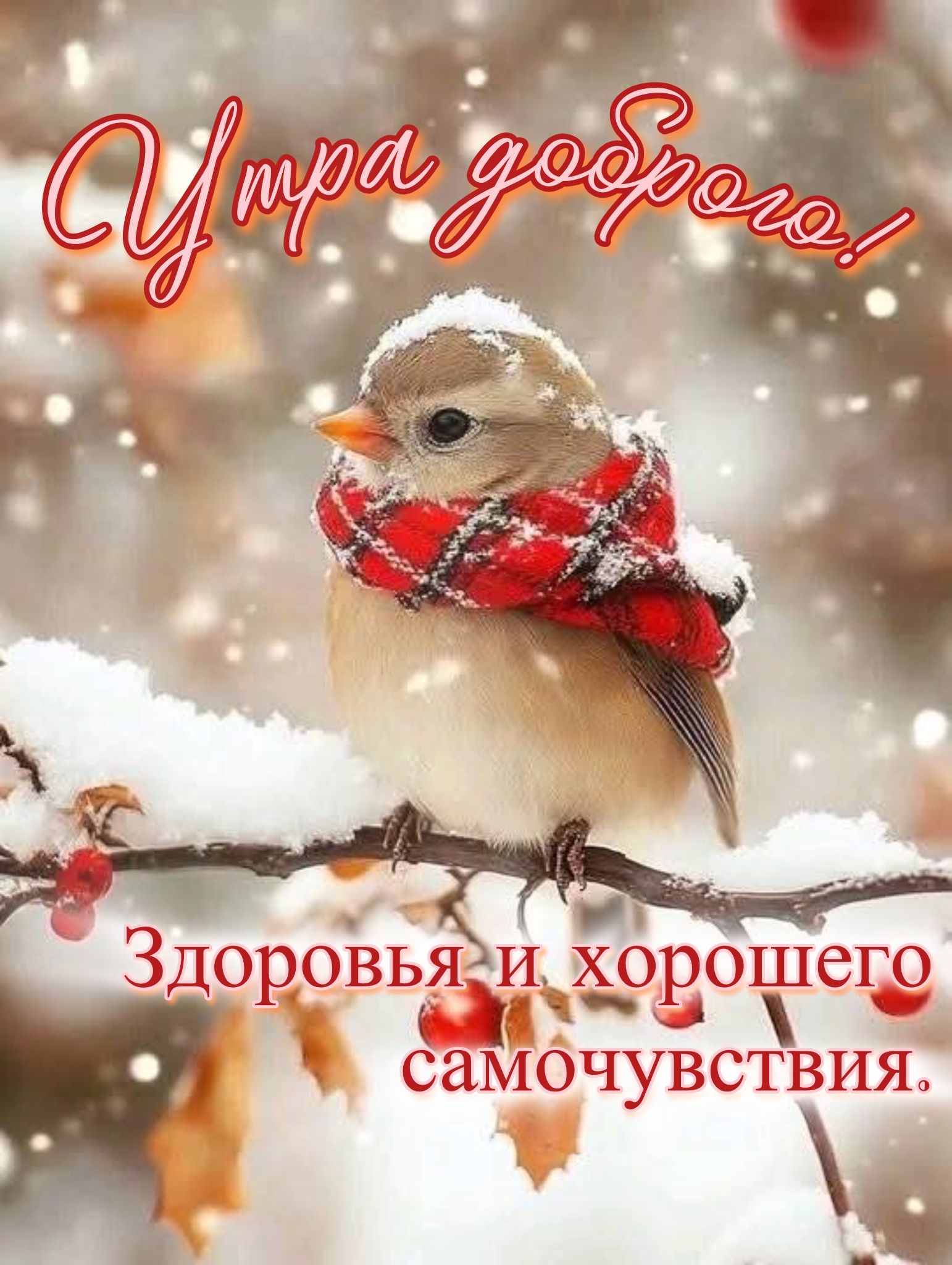 Утра вам🫶🏻