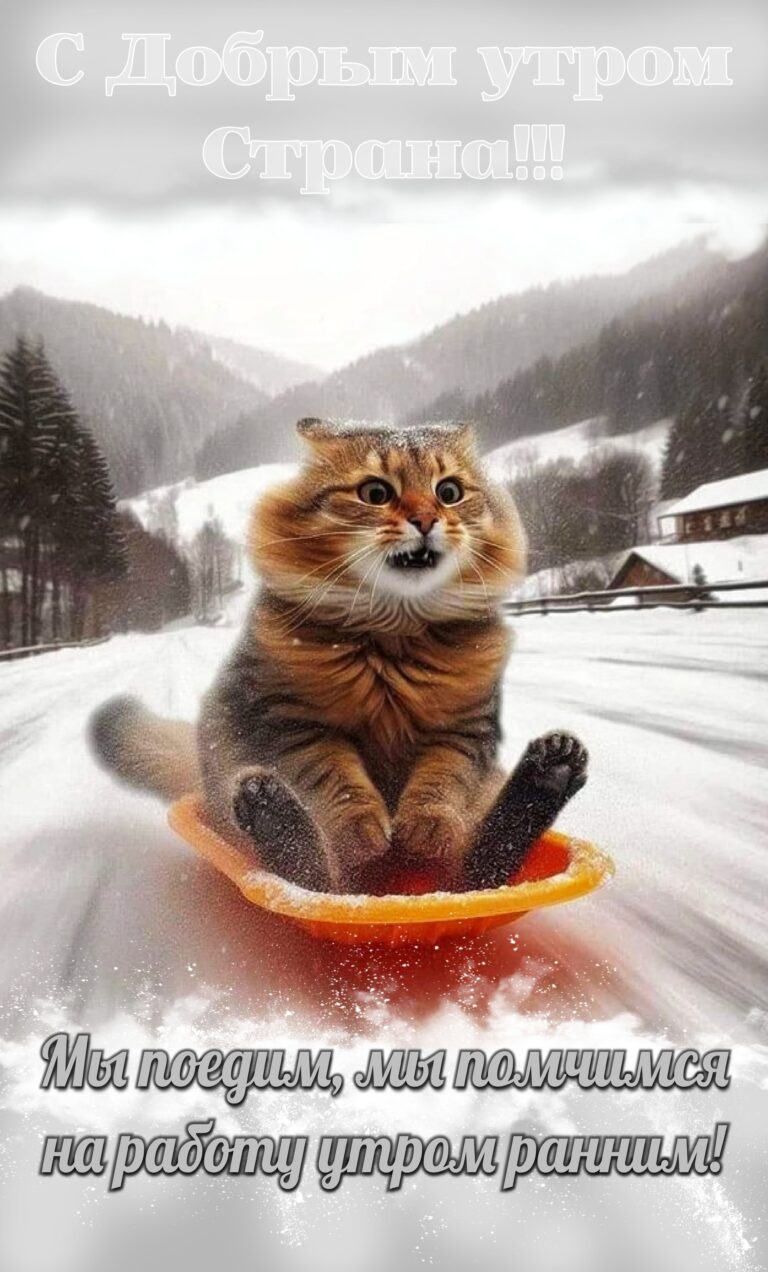 Пора…на работу🛷