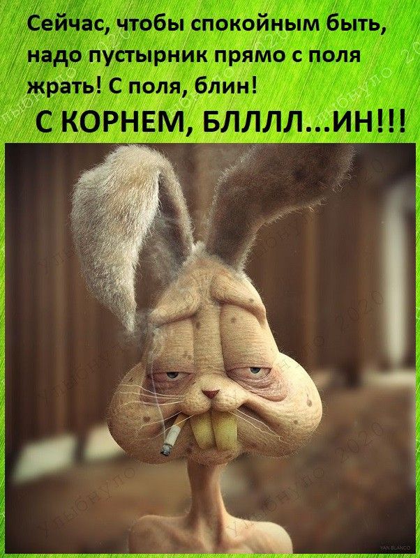 Спокойствие только спокойствие