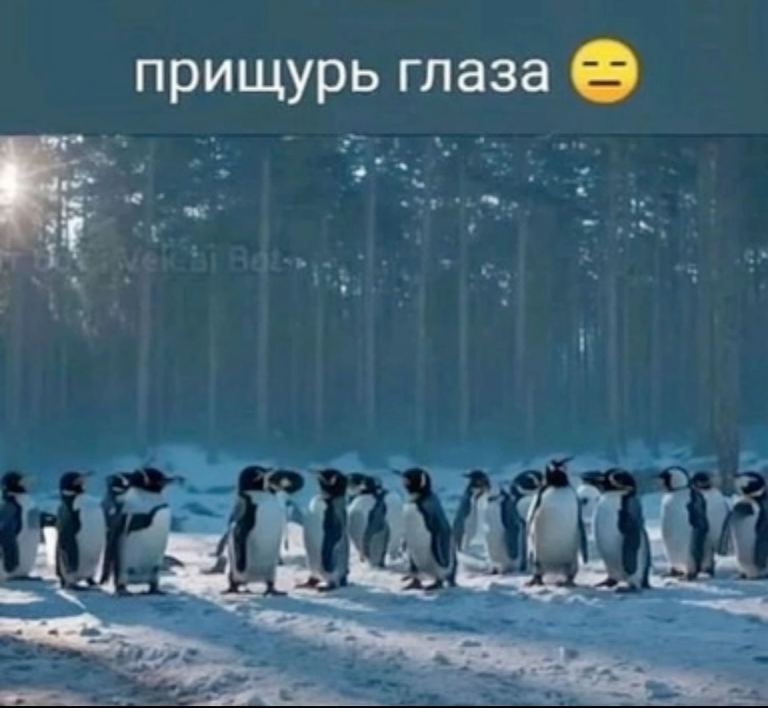 Немного милоты