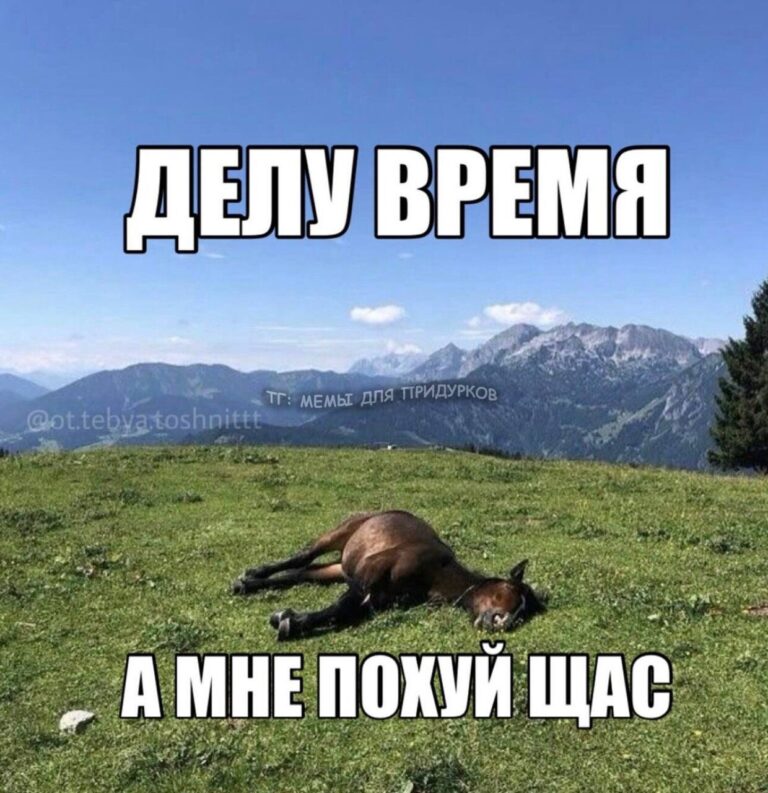 тг: мемы для придурков
