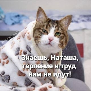 Знаешь, Наташа, терпение и труд нам не идут! – АйДаПрикол