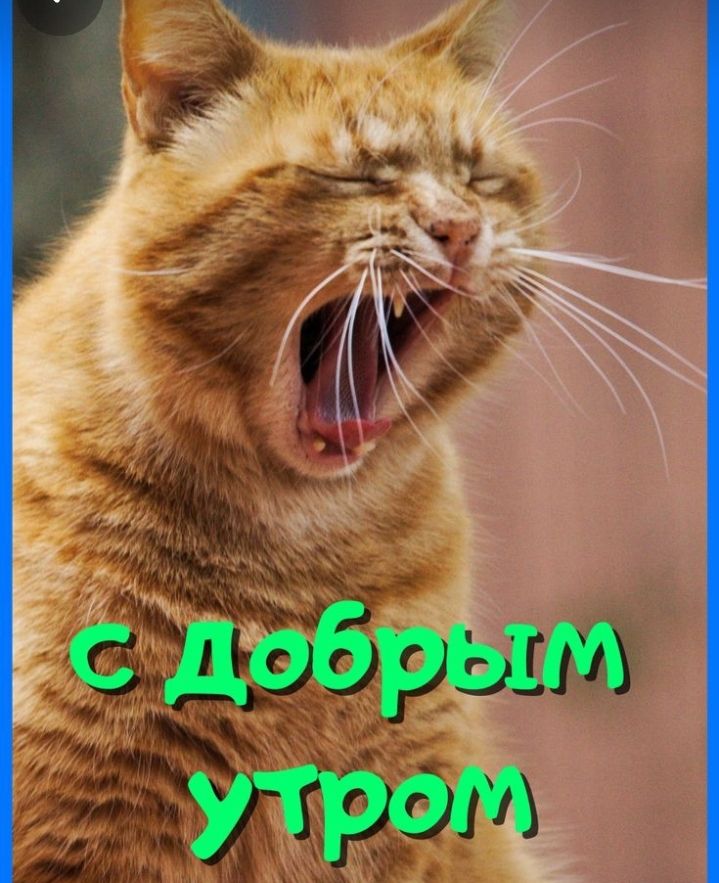 проснувся:]