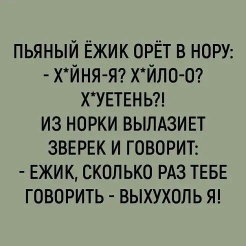 Пин от пользователя Marina Golos на доске Анекдоты | Позитивные цитаты, Юмор о работе,…