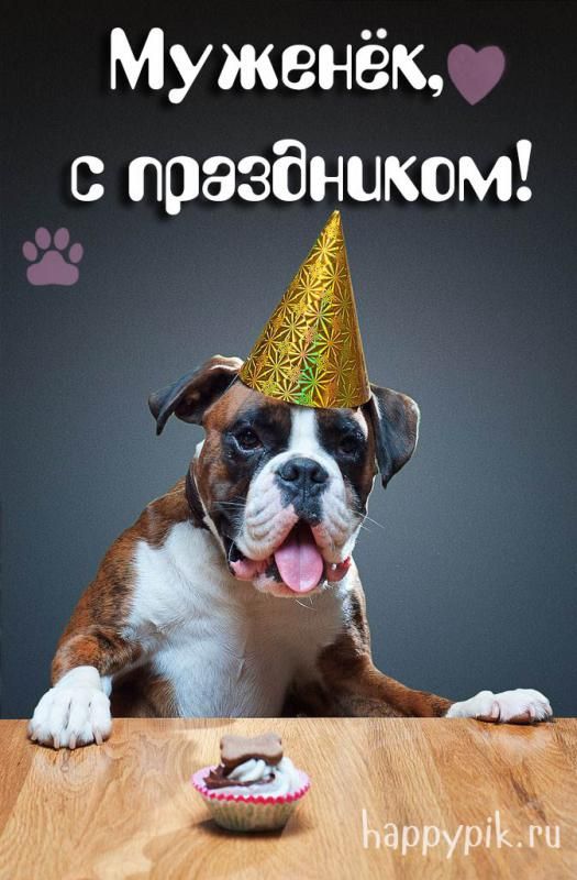 Открытки С днём рождения мужу от жены – скачать бесплатно
