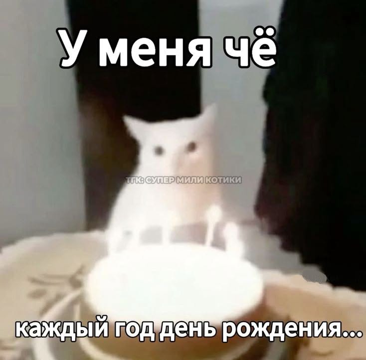 тгк: супер мили котики