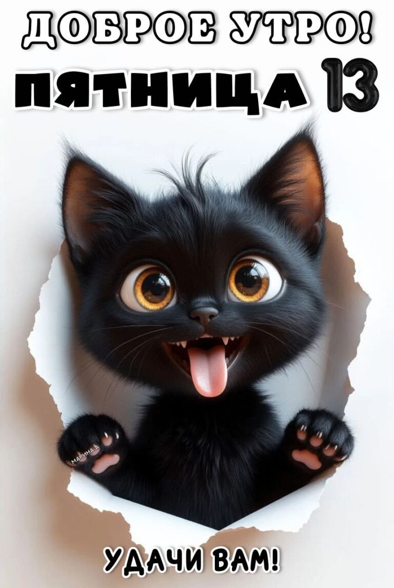 ДОБРОЕ УТРО (12.02.2026)