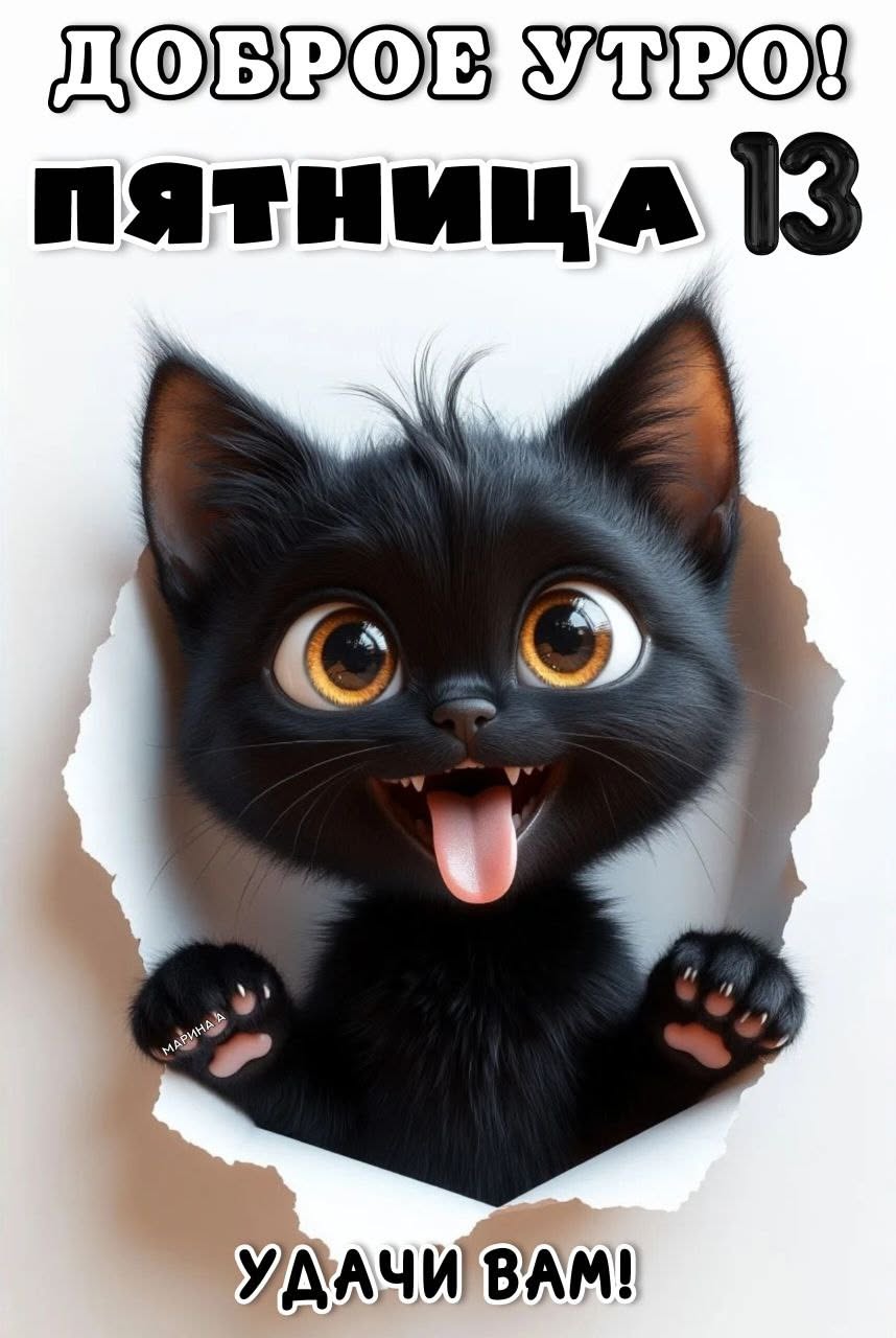 ДОБРОЕ УТРО (12.02.2026)