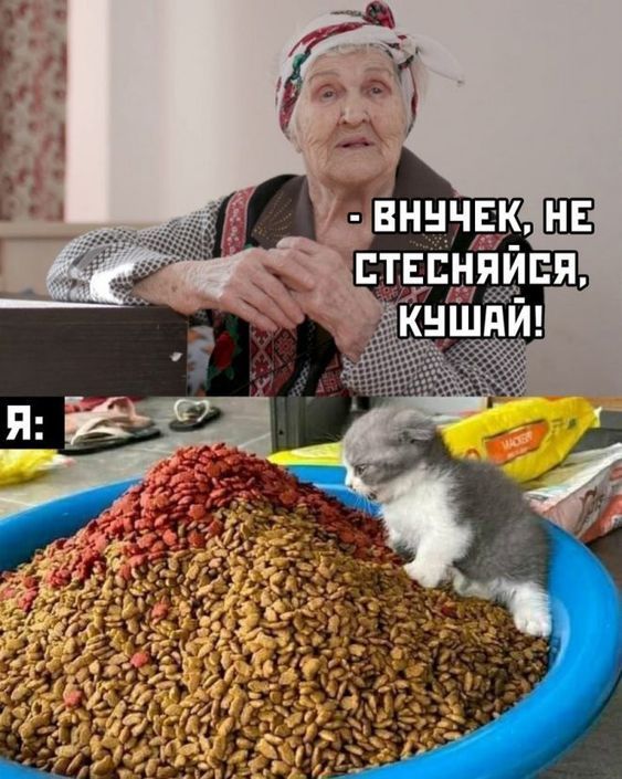 юмор очень смешно 578