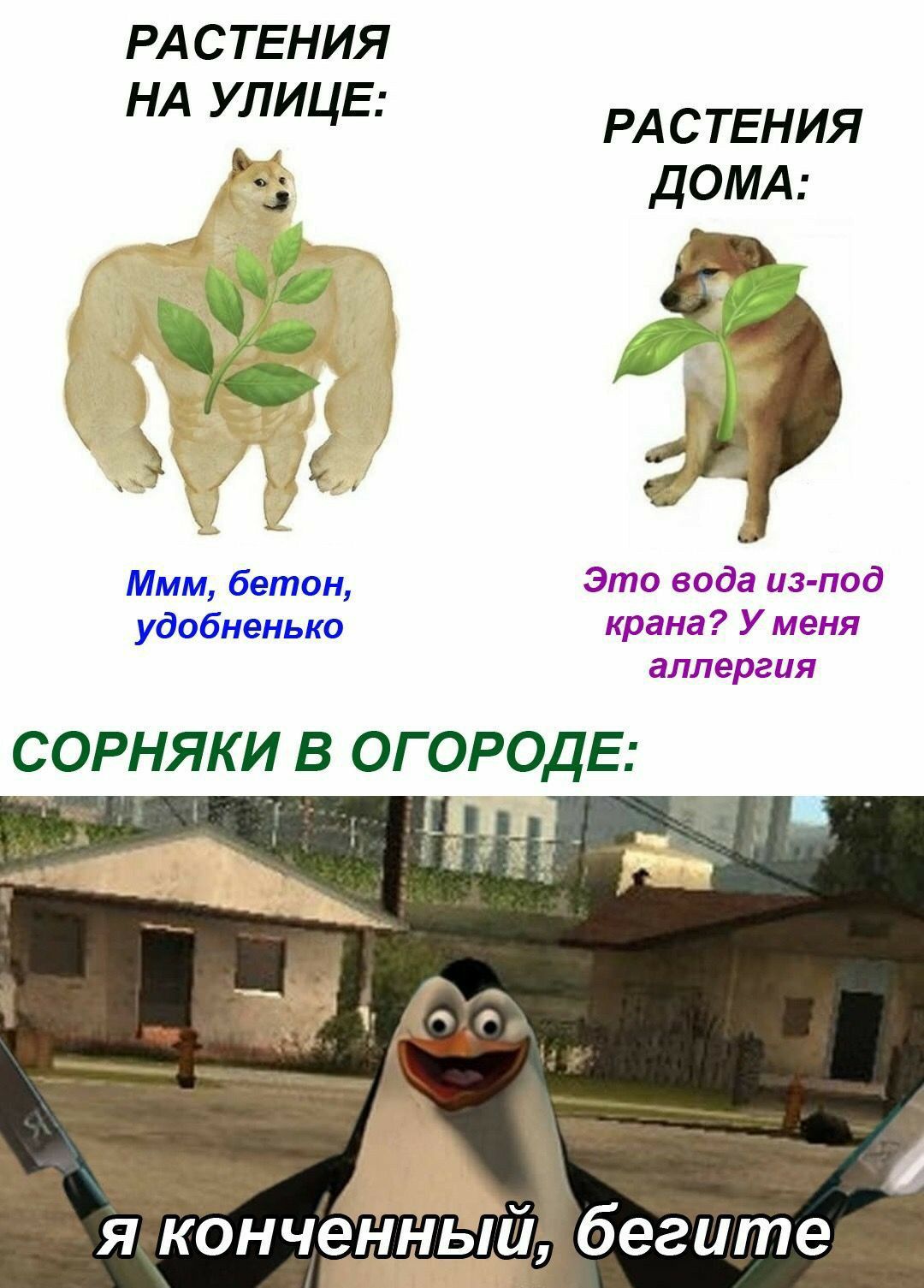 Мемы про огород