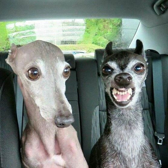 Фотохронограф дяди Саши