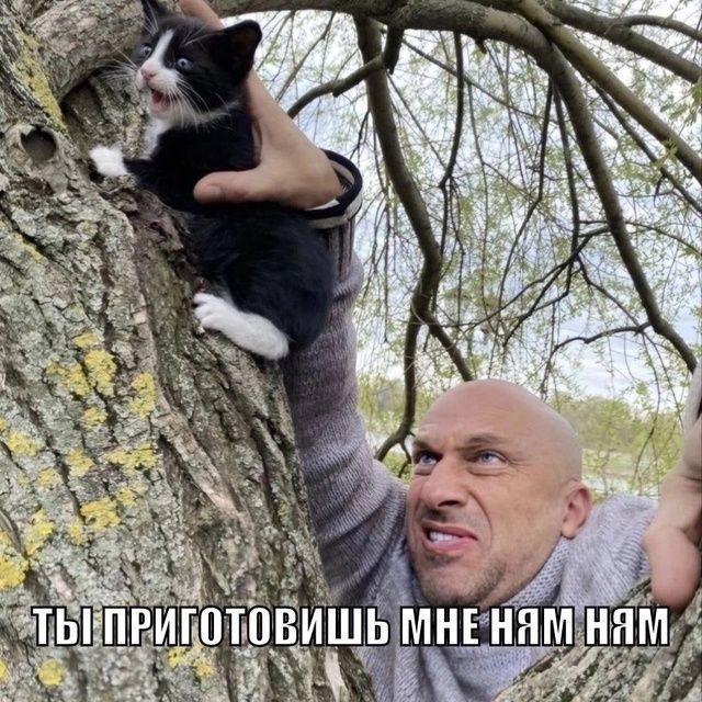ты