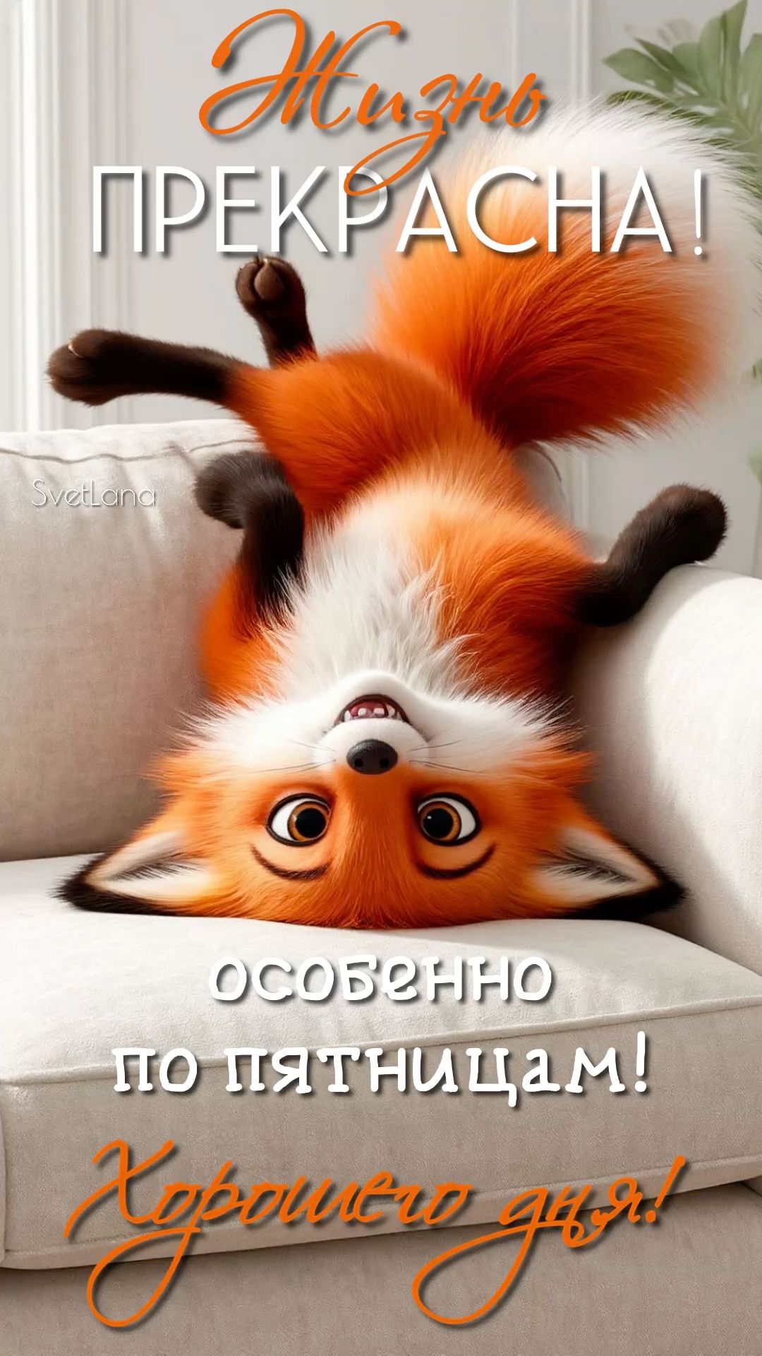 Доброе утро пятницы!