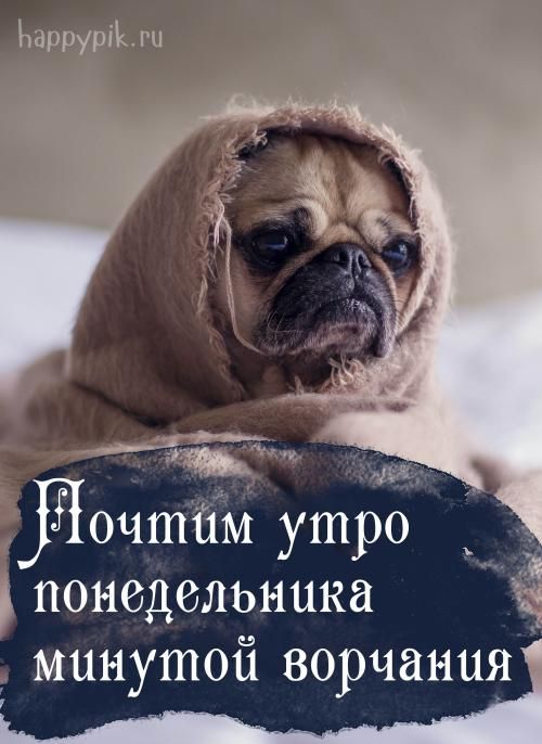 Картинки Доброе утро понедельника – скачать