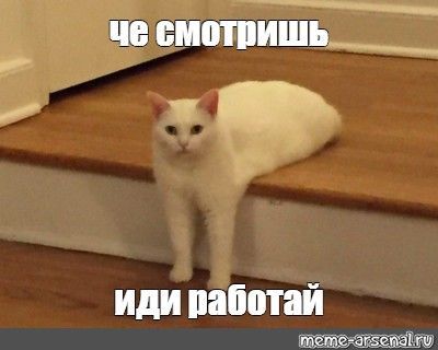 Мем: “че смотришь иди работай”