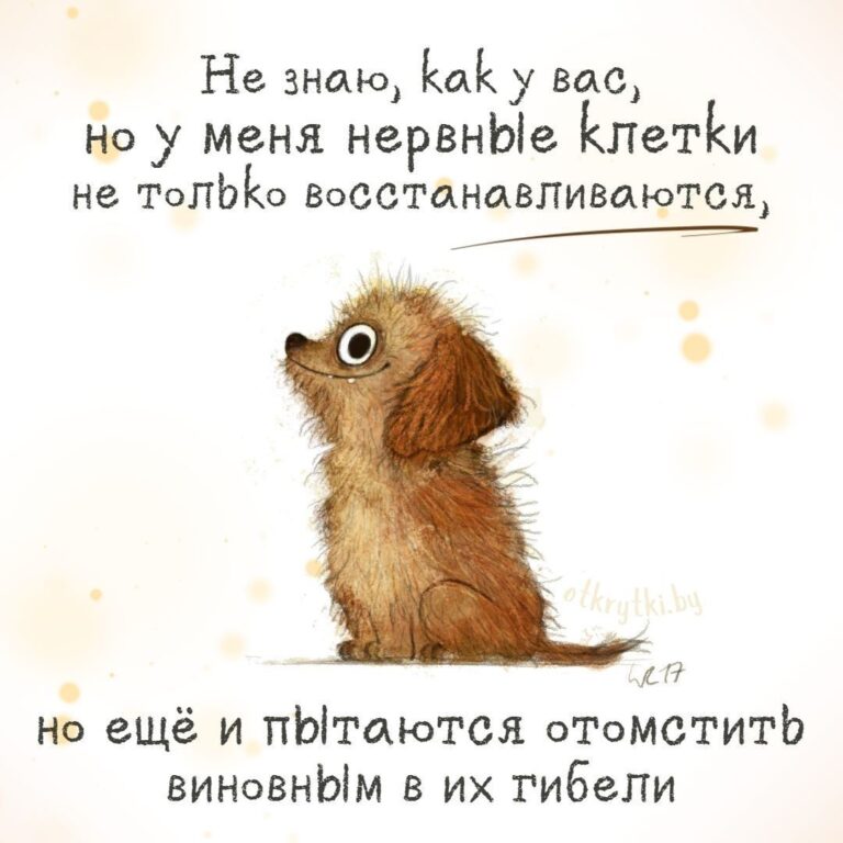 Смешные картинки ПРО НЕРВЫ с юмором и сарказмом