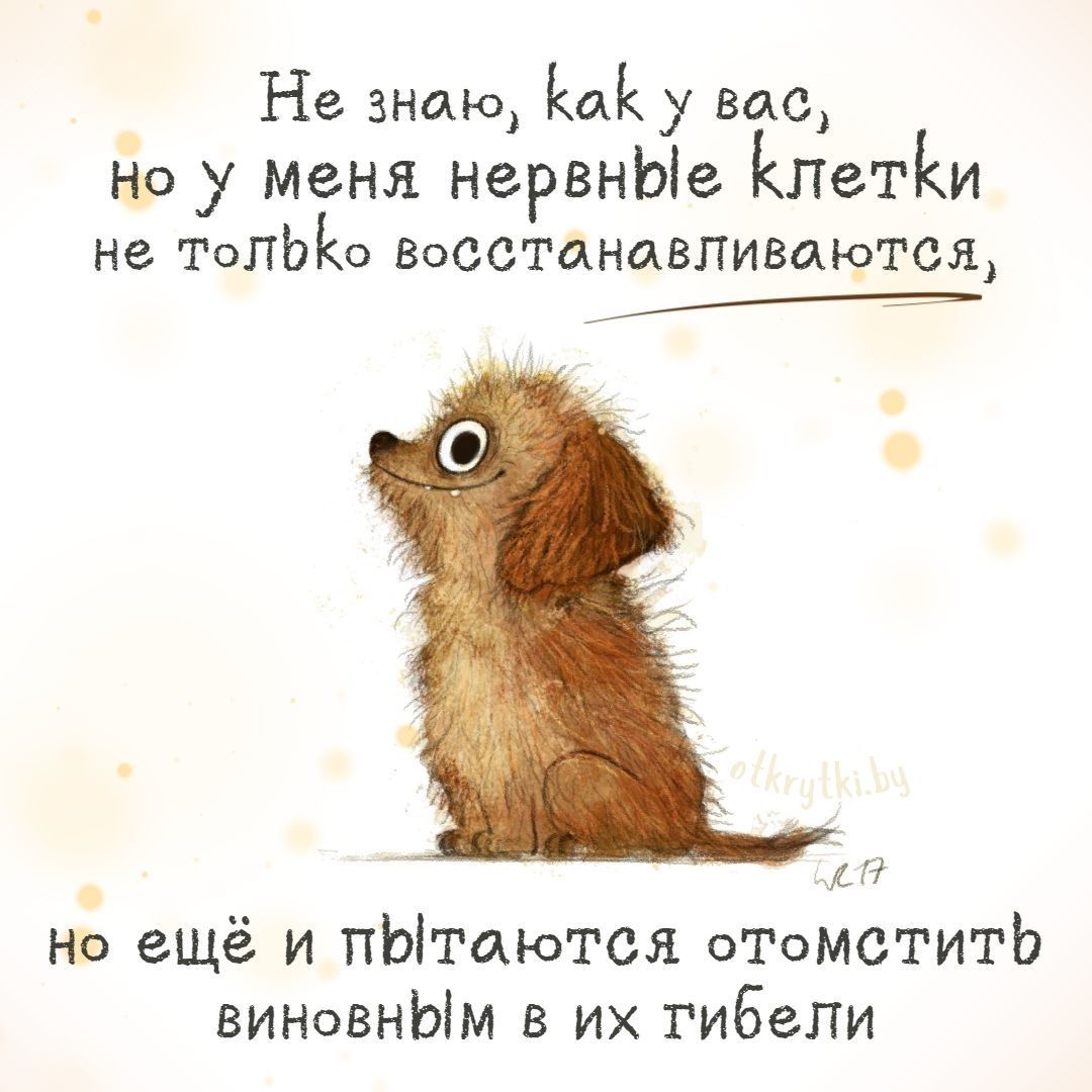 Смешные картинки ПРО НЕРВЫ с юмором и сарказмом