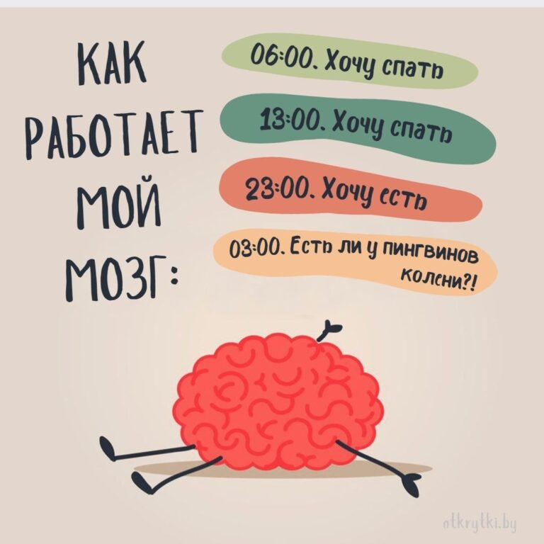 Забавные картинки с веселыми надписями ПРО МОЗГ с юмором