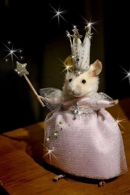 glinda mouse