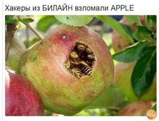 Хакеры из БИЛАЙН взломали АРРЕЕ – АйДаПрикол