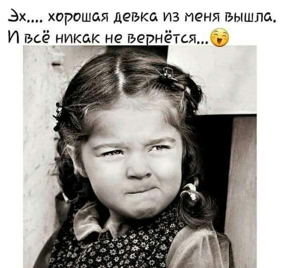 Веселые истории о нас.  №59 – Ветер Вольный — КОНТ