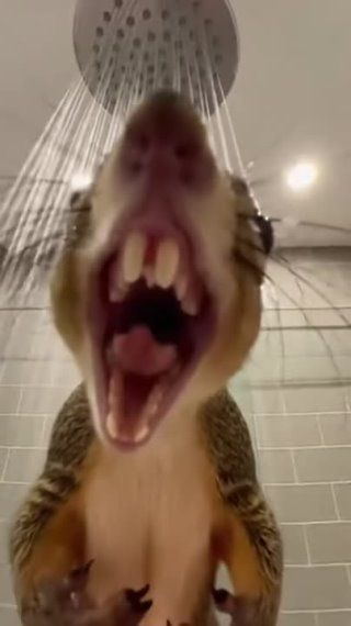 Виталий Пархоменко