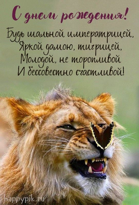 Прикольные открытки С днем рождения 😃 – скачать