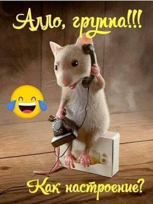 Алло, группа!!! Как настроение?