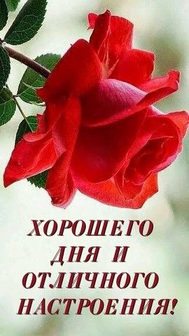 Дня тебе хорошего, | Интересный контент в группе Пожелания доброго утра и доброго дня. в ОК (Одноклассники)