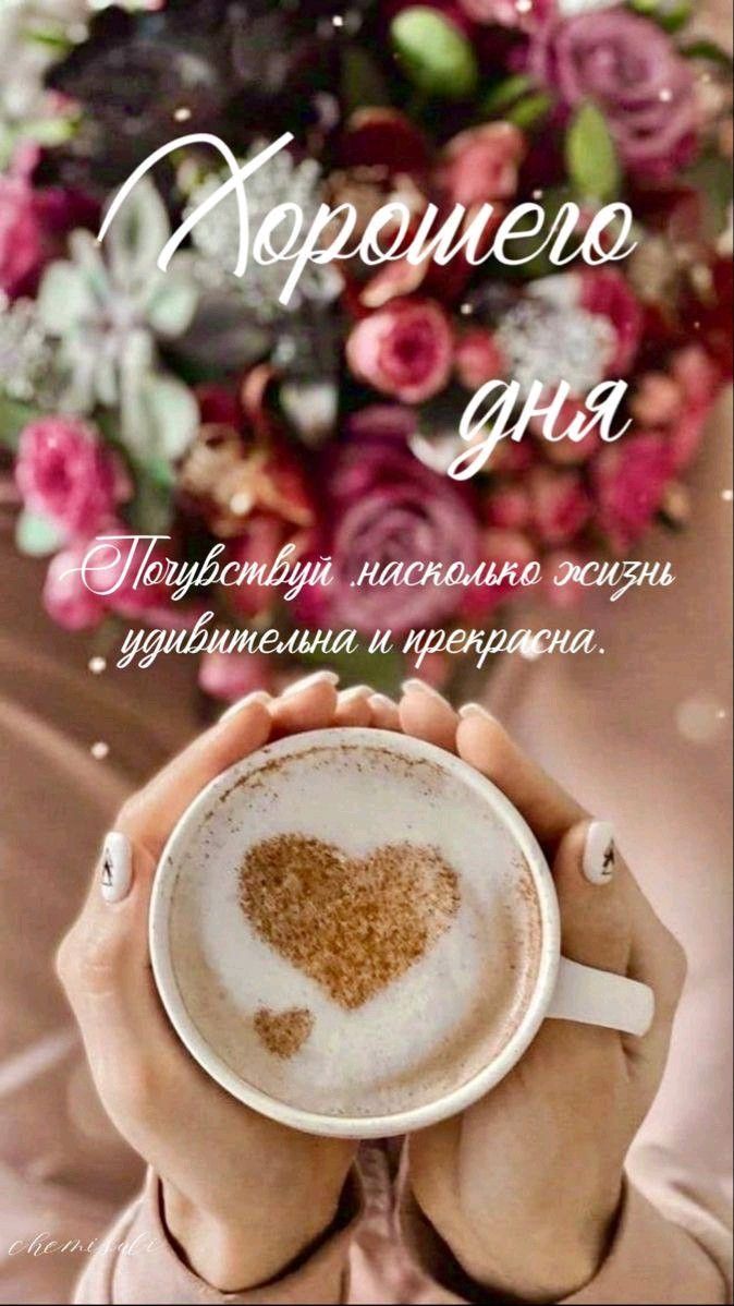 Хорошего дня 🍀