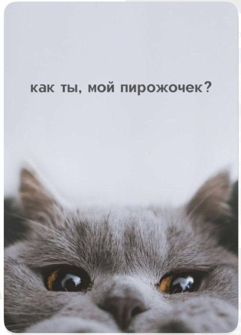 Люблю тебя 🫶