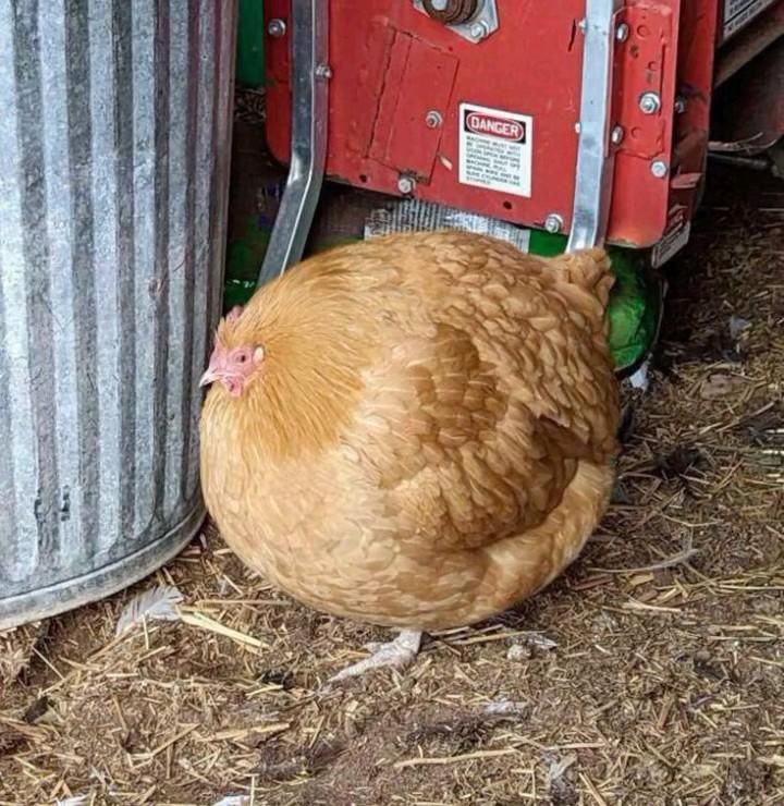 Я пыталась сделать хороший переход  ,сестра сказала отличный