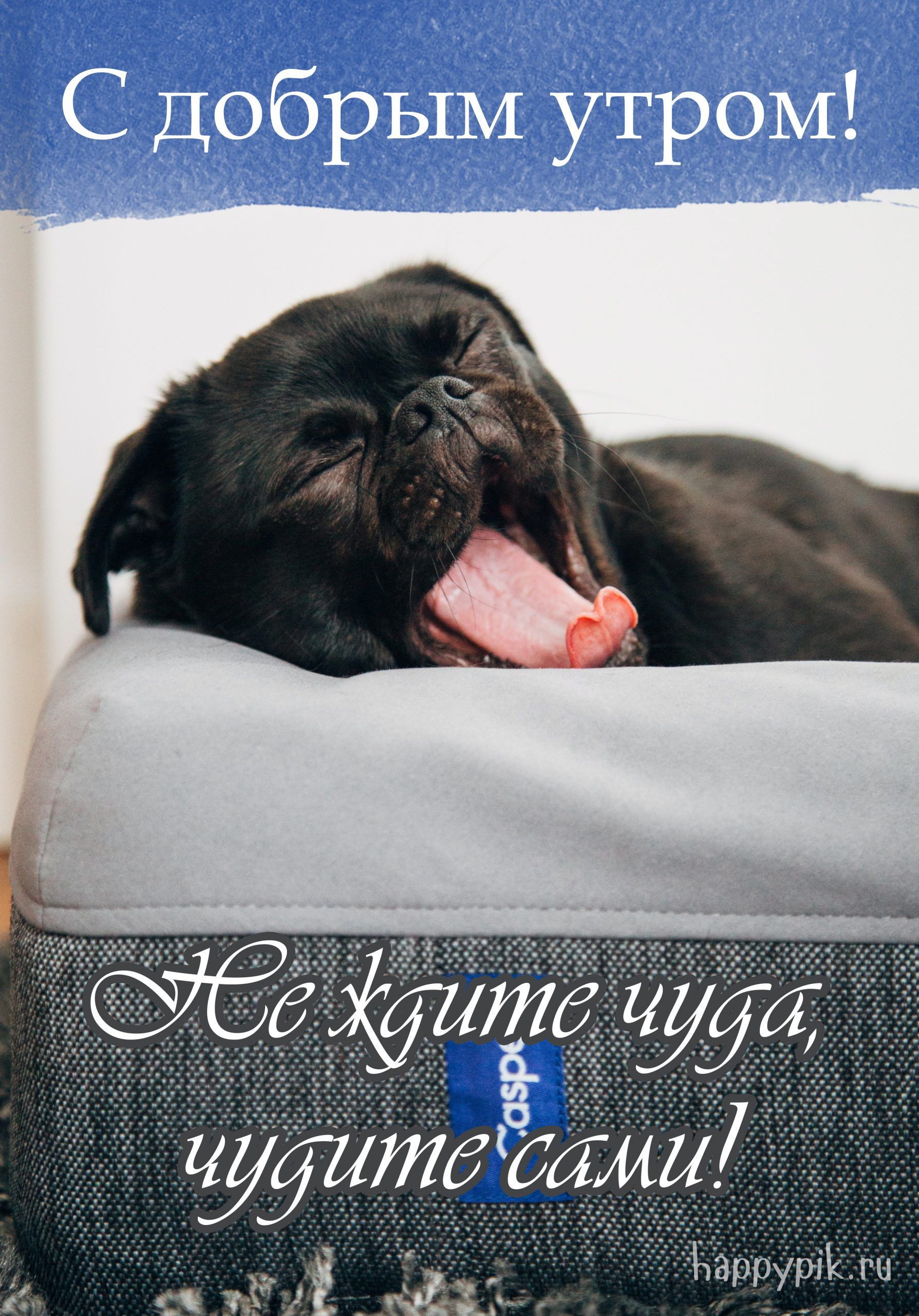 Картинки с надписями \