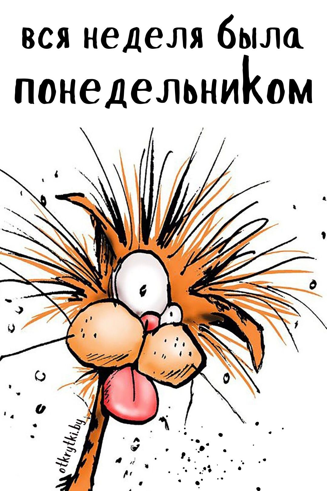 Мемы и картинки про ПОНЕДЕЛЬНИК с добрыми надписями и юмором