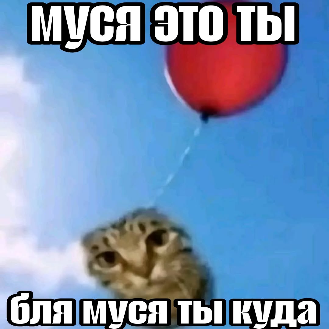 муся это ты