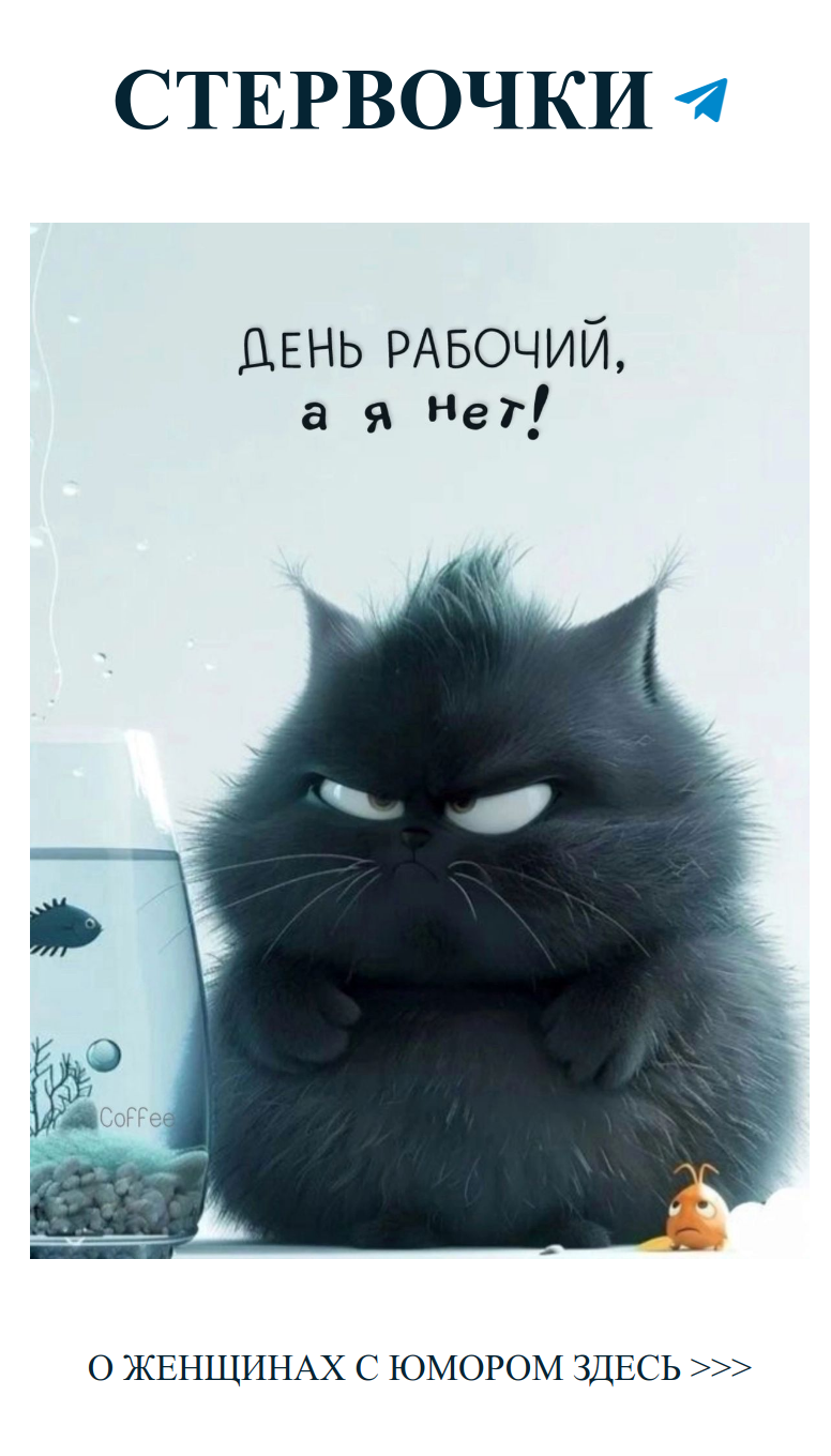 Котик и рыбка: весёлые любовные шутки для хорошего утра