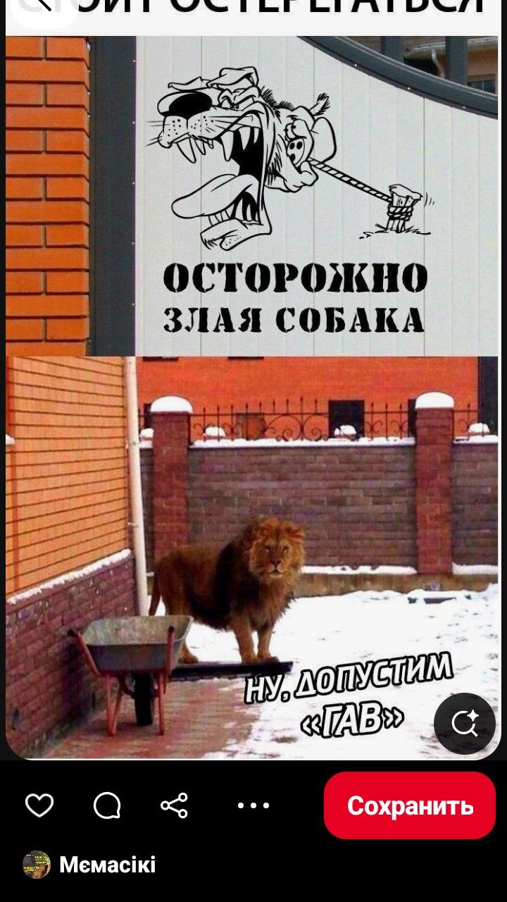 Злой Лев “гав” 🤣🤣