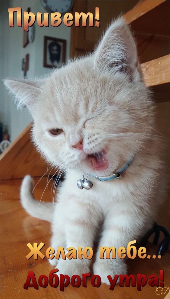 Доброе утро! 💝