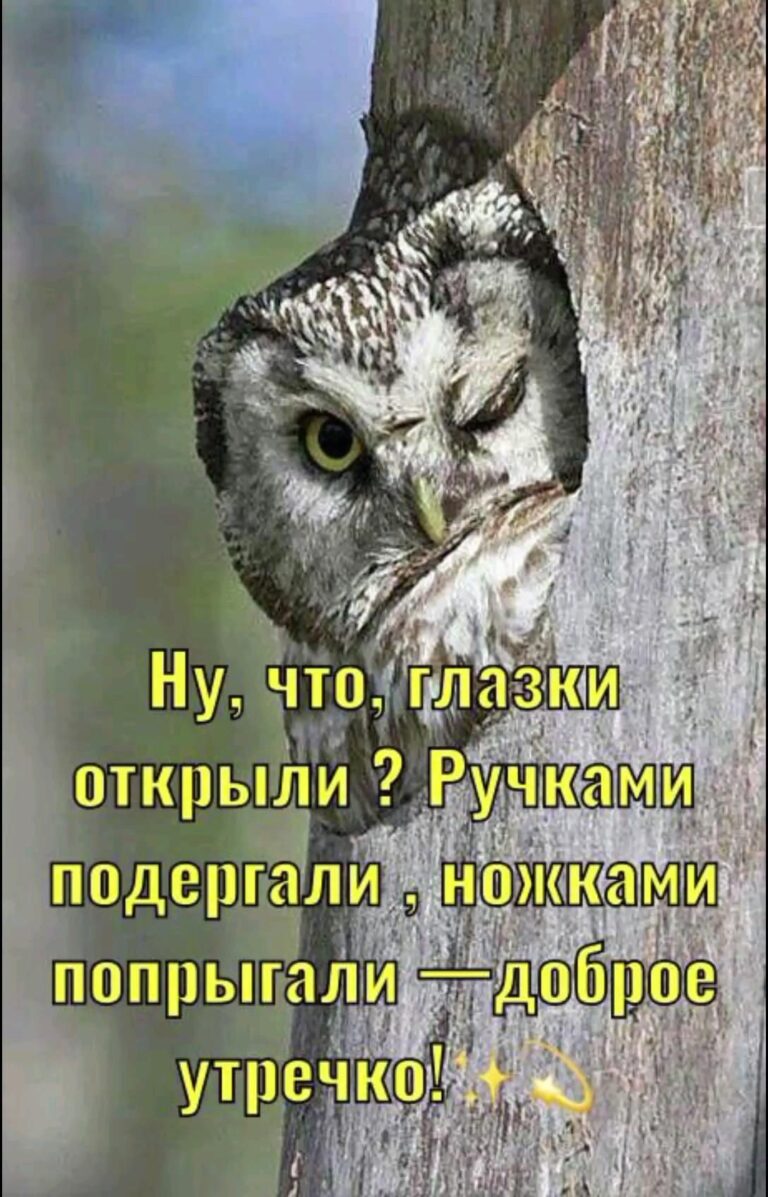 доброе утро