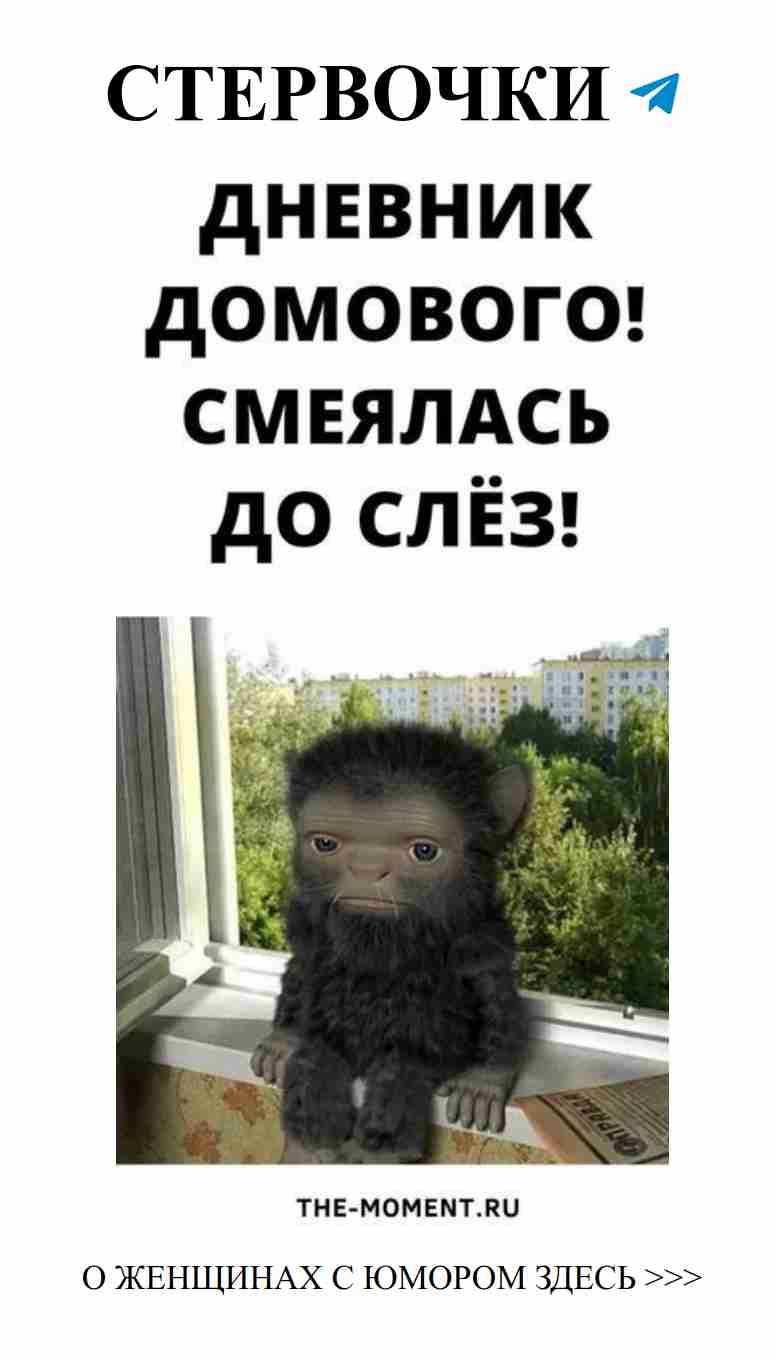 Любовь и смех в дневнике домового для девушек