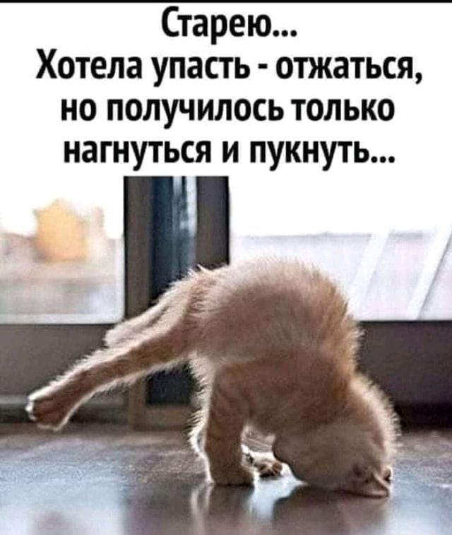 Старею… Хотела упасть – отжаться, но получилось только нагнуться и пукнуть… – АйДаПрикол