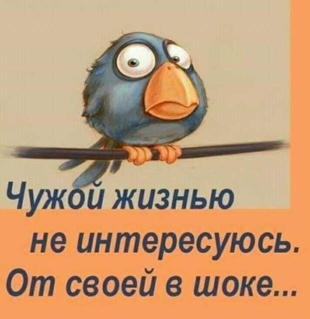 Веселые истории о нас – ДОСТОЙНАЯ  ЖИЗНЬ  НА  ПЕНСИИ – Медиаплатформа МирТесен