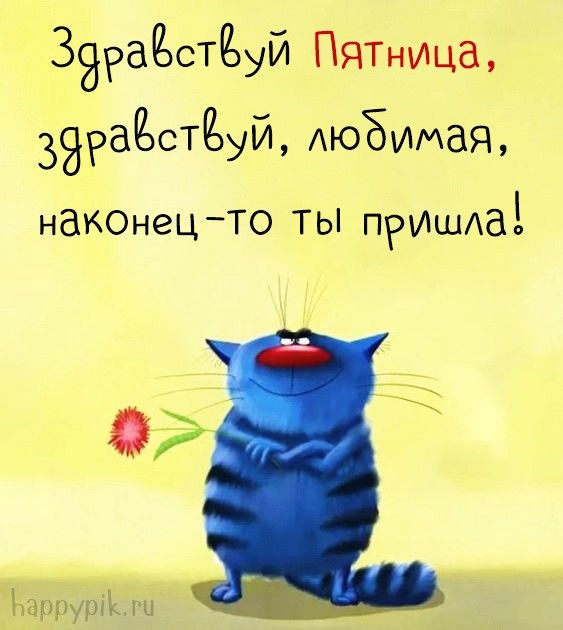 Картинки Доброе утро пятницы – скачать