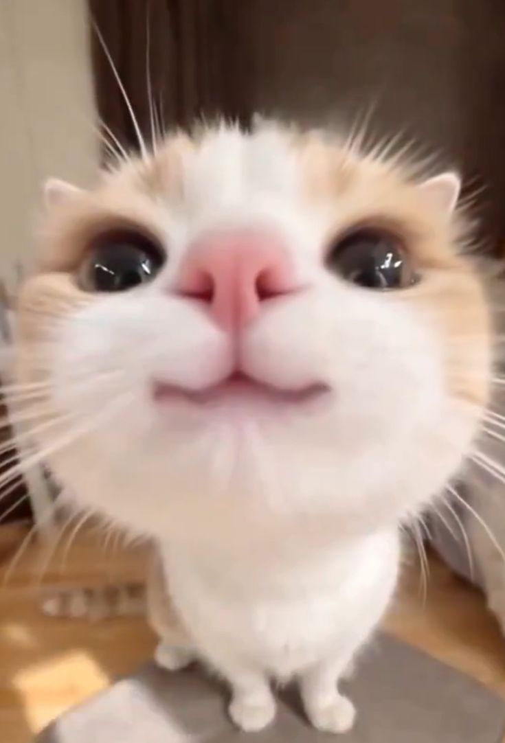 alll bunu ne yapıyosan yap tmmmı