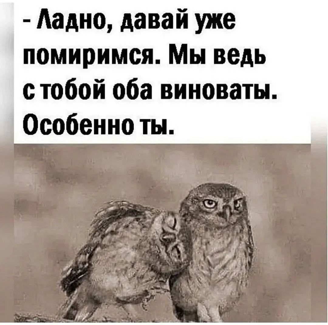 Картинки давай мириться (49 лучших фото)