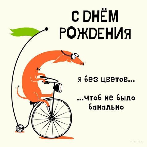 Прикольные картинки с днем рождения с юмором, веселыми и смешными пожеланиями