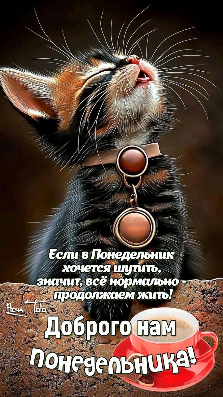 💥❤🤗ДОБРОГО НАМ ПОНЕДЕЛЬНИКА! 👍☕❤🔥18.08.2025